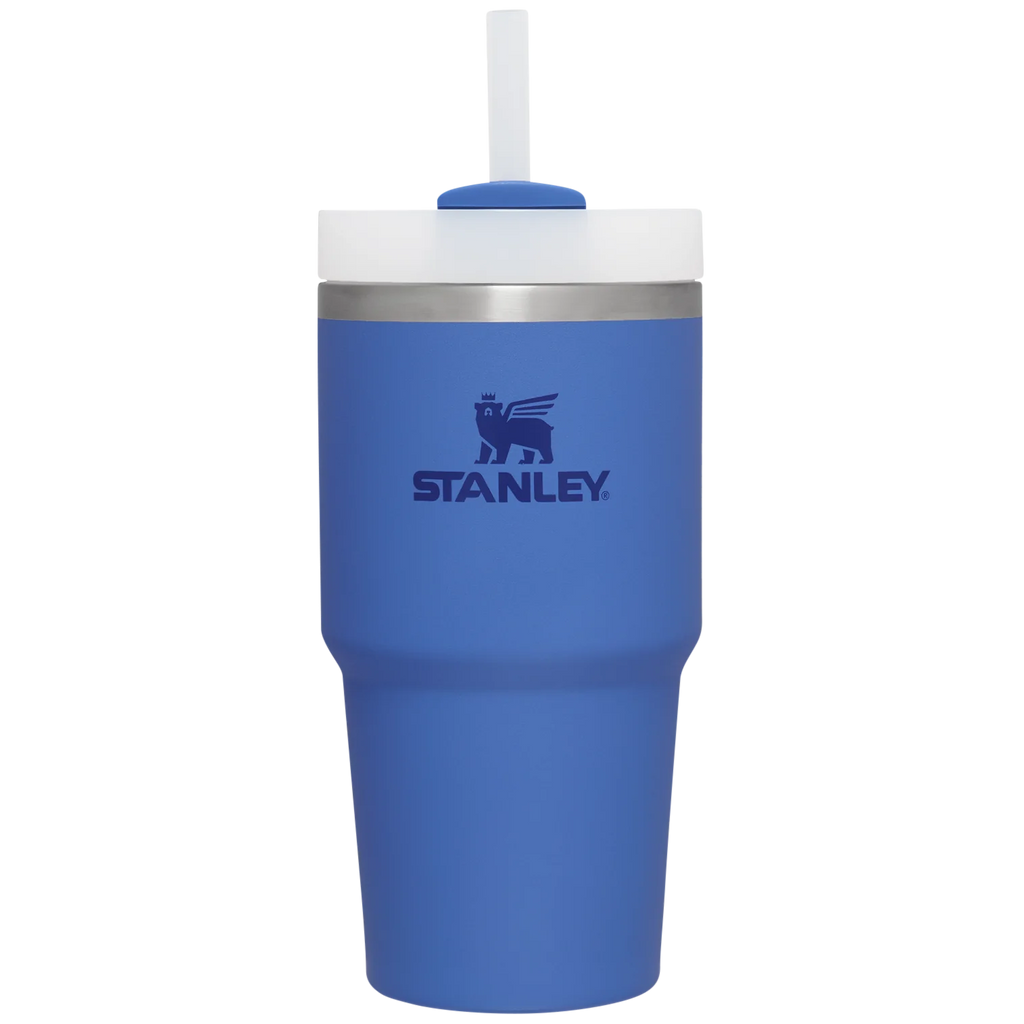 The Quencher H2.0 FlowState™ Tumbler | 20 OZ - Stanley Create