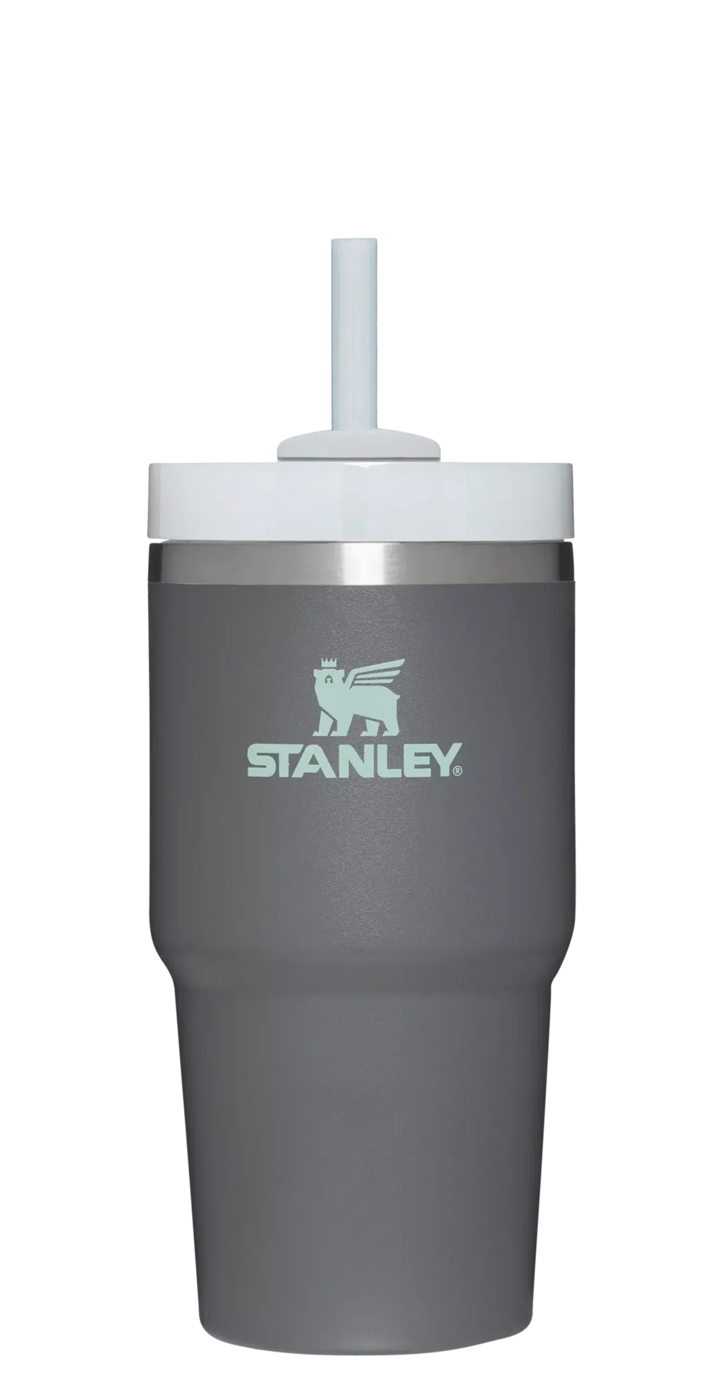 The Quencher H2.0 FlowState™ Tumbler | 20 OZ - Stanley Create